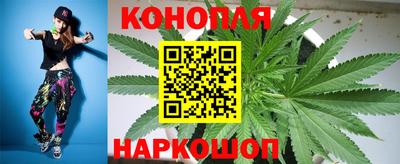 дживик Тара
