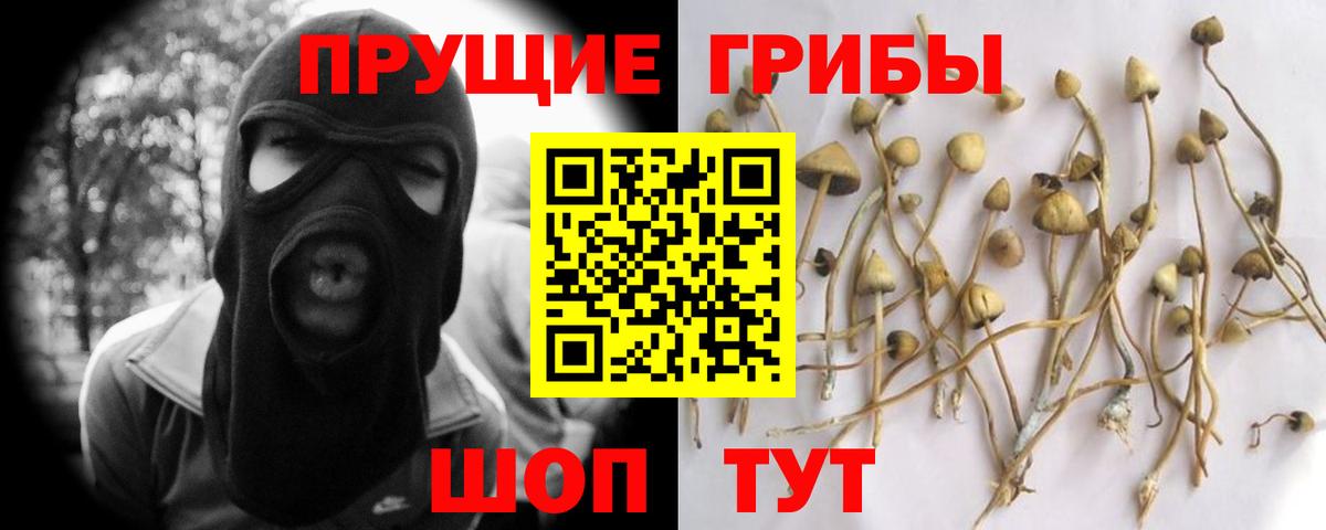 Междуреченск  Псилоцибиновые грибы Cubensis  Вход с VPN 